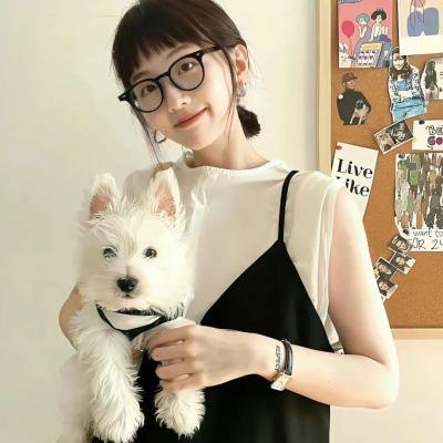 女婿回乡全村风光